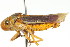  (Oncometopia clarior - CNC#HEM401137)  @14 [ ] CreativeCommons - Attribution (2011) CNC/CBG Photography Group Centre for Biodiversity Genomics