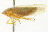  ( - CNC#HEM401247)  @13 [ ] CreativeCommons - Attribution (2011) CNC/CBG Photography Group Centre for Biodiversity Genomics