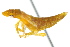  ( - CNC#HEM401287)  @12 [ ] CreativeCommons - Attribution (2011) CNC/CBG Photography Group Centre for Biodiversity Genomics