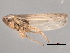  ( - CNC#HEM403453)  @12 [ ] CreativeCommons - Attribution (2012) CNC/CBG Photography Group Centre for Biodiversity Genomics