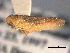  ( - CNC#HEM403740)  @13 [ ] CreativeCommons - Attribution (2012) CNC/CBG Photography Group Centre for Biodiversity Genomics