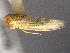  ( - CNC#HEM403968)  @12 [ ] CreativeCommons - Attribution (2012) CNC/CBG Photography Group Centre for Biodiversity Genomics