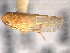  ( - CNC#HEM403969)  @12 [ ] CreativeCommons - Attribution (2012) CNC/CBG Photography Group Centre for Biodiversity Genomics