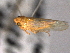  ( - CNC#HEM403971)  @12 [ ] CreativeCommons - Attribution (2012) CNC/CBG Photography Group Centre for Biodiversity Genomics
