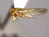  ( - CNC#HEM403974)  @13 [ ] CreativeCommons - Attribution (2012) CNC/CBG Photography Group Centre for Biodiversity Genomics