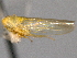  ( - CNC#HEM403975)  @11 [ ] CreativeCommons - Attribution (2012) CNC/CBG Photography Group Centre for Biodiversity Genomics