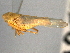  ( - CNC#HEM403984)  @13 [ ] CreativeCommons - Attribution (2012) CNC/CBG Photography Group Centre for Biodiversity Genomics