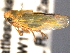  ( - CNC#HEM404222)  @13 [ ] CreativeCommons - Attribution (2012) CNC/CBG Photography Group Centre for Biodiversity Genomics