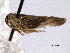  ( - CNC#HEM404399)  @11 [ ] CreativeCommons - Attribution (2012) CNC/CBG Photography Group Centre for Biodiversity Genomics