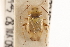  ( - PBI 00396072)  @11 [ ] CreativeCommons - Attribution (2012) CNC/CBG Photography Group Centre for Biodiversity Genomics