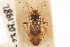  ( - PBI 00396078)  @11 [ ] CreativeCommons - Attribution (2012) CNC/CBG Photography Group Centre for Biodiversity Genomics
