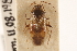 ( - PBI 00396082)  @11 [ ] CreativeCommons - Attribution (2012) CNC/CBG Photography Group Centre for Biodiversity Genomics