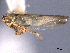  ( - CNC#HEM404599)  @11 [ ] CreativeCommons - Attribution (2012) CNC/CBG Photography Group Centre for Biodiversity Genomics
