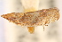  ( - CNC#HEM405226)  @11 [ ] CreativeCommons - Attribution (2012) CNC/CBG Photography Group Centre for Biodiversity Genomics