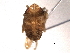  ( - CNC#HEM405290)  @12 [ ] CreativeCommons - Attribution (2012) CNC/CBG Photography Group Centre for Biodiversity Genomics