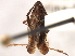  ( - CNC#HEM405628)  @11 [ ] CreativeCommons - Attribution (2012) CNC/CBG Photography Group Centre for Biodiversity Genomics