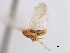  ( - CNC#HEM405696)  @11 [ ] CreativeCommons - Attribution (2012) CNC/CBG Photography Group Centre for Biodiversity Genomics