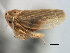  ( - CNC#HEM405998)  @13 [ ] CreativeCommons - Attribution (2012) CNC/CBG Photography Group Centre for Biodiversity Genomics
