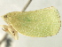  ( - CNC#HEM405776)  @13 [ ] CreativeCommons - Attribution (2012) CNC/CBG Photography Group Centre for Biodiversity Genomics
