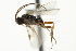  ( - 07PROBE-24643)  @12 [ ] CreativeCommons - Attribution (2010) CBG Photography Group Centre for Biodiversity Genomics