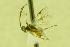  ( - HYM00000278)  @12 [ ] Unspecified (default): All Rights Reserved  Unspecified Unspecified