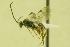  ( - HYM00000280)  @12 [ ] Unspecified (default): All Rights Reserved  Unspecified Unspecified