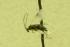 ( - HYM00000321)  @12 [ ] Unspecified (default): All Rights Reserved  Unspecified Unspecified