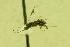  ( - HYM00000323)  @11 [ ] Unspecified (default): All Rights Reserved  Unspecified Unspecified