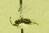 ( - HYM00000325)  @11 [ ] Unspecified (default): All Rights Reserved  Unspecified Unspecified