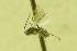  ( - HYM00000389)  @12 [ ] Unspecified (default): All Rights Reserved  Unspecified Unspecified