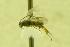  ( - HYM00000393)  @12 [ ] Unspecified (default): All Rights Reserved  Unspecified Unspecified
