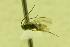  ( - HYM00000395)  @12 [ ] Unspecified (default): All Rights Reserved  Unspecified Unspecified