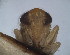  ( - EMP068)  @11 [ ] Copyright (2010) Unspecified Northwest Agriculture and Forest University