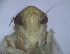  ( - EMP145)  @11 [ ] Copyright (2010) Unspecified Northwest Agriculture and Forest University