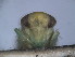  ( - EMP169)  @11 [ ] Copyright (2010) Unspecified Northwest Agriculture and Forest University