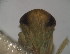  ( - EMP206)  @11 [ ] Copyright (2010) Unspecified Northwest Agriculture and Forest University