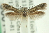  ( - CNCLEP00014238)  @11 [ ] CreativeCommons - Attribution (2013) CNC/CBG Photography Group Centre for Biodiversity Genomics