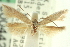  ( - CNCLEP00044218)  @14 [ ] CreativeCommons - Attribution (2013) CNC/CBG Photography Group Centre for Biodiversity Genomics