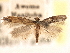  ( - CNCLEP00077238)  @11 [ ] CreativeCommons - Attribution (2013) CBG Photography Group Centre for Biodiversity Genomics