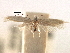  ( - CNCLEP00095356)  @11 [ ] CreativeCommons - Attribution (2013) CBG Photography Group Centre for Biodiversity Genomics
