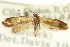  ( - CNCLEP00098502)  @11 [ ] CreativeCommons - Attribution (2013) CNC/CBG Photography Group Centre for Biodiversity Genomics
