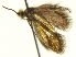  ( - CNCLEP00098503)  @12 [ ] CreativeCommons - Attribution (2013) CNC/CBG Photography Group Centre for Biodiversity Genomics