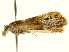  ( - CNCLEP00098561)  @12 [ ] CreativeCommons - Attribution (2013) CNC/CBG Photography Group Centre for Biodiversity Genomics