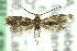  ( - CNCLEP00098659)  @12 [ ] CreativeCommons - Attribution (2013) CNC/CBG Photography Group Centre for Biodiversity Genomics