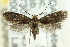  ( - CNCLEP00098661)  @13 [ ] CreativeCommons - Attribution (2013) CNC/CBG Photography Group Centre for Biodiversity Genomics