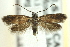  ( - CNCLEP00098662)  @14 [ ] CreativeCommons - Attribution (2013) CNC/CBG Photography Group Centre for Biodiversity Genomics