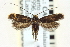  ( - CNCLEP00098669)  @14 [ ] CreativeCommons - Attribution (2013) CNC/CBG Photography Group Centre for Biodiversity Genomics