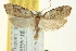  ( - CNCLEP00098681)  @14 [ ] CreativeCommons - Attribution (2013) CNC/CBG Photography Group Centre for Biodiversity Genomics