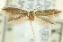  ( - CNCLEP00098857)  @13 [ ] CreativeCommons - Attribution (2013) CNC/CBG Photography Group Centre for Biodiversity Genomics