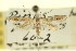  ( - CNCLEP00099027)  @11 [ ] CreativeCommons - Attribution (2013) CNC/CBG Photography Group Centre for Biodiversity Genomics